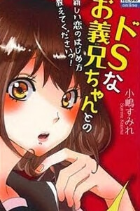 do-s-na-oniichan-to-no-atarashii-koi-no-hajimekata-oshiete-kudasai