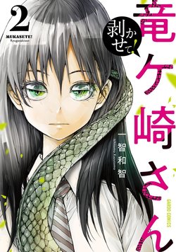 shed-ryugasakisan