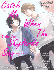 catch-me-when-the-skylarks-sing