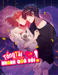 tong-tai-nhu-vay-nhanh-qua