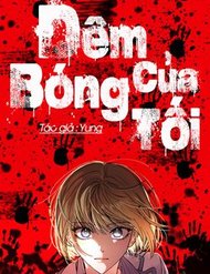 dem-cua-bong-toi