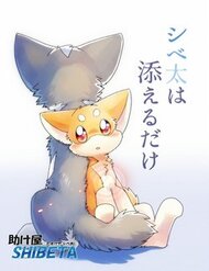 helper-shibeta