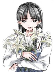 madonna-lily