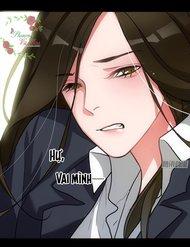 my-nhan-vi-ham