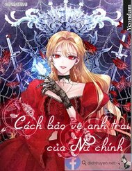 cach-bao-ve-anh-trai-cua-nu-chinh