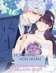 hon-nhan-hop-dong-ket-hon-voi-thanh-mai-xao-quyet