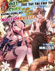ie-ga-moete-jinsei-dou-demo-yoku-natta-kara-nokotta-nakenashi-no-kin-de-dark-elf-no-dorei-o-katta