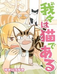 we-are-cat