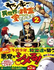 yankee-wa-isekai-de-seirei-ni-aisaremasu
