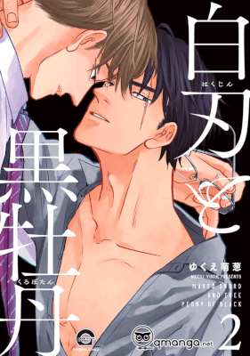 hakujin-to-kurobotan-vol-2