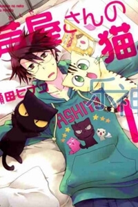 ashiyasan-no-neko