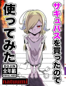 everyday-life-with-a-succubus-slave