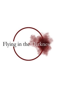 flying-in-the-darkness