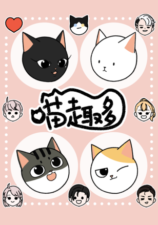 nhung-chu-meo-vui-ve