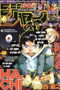 hachi