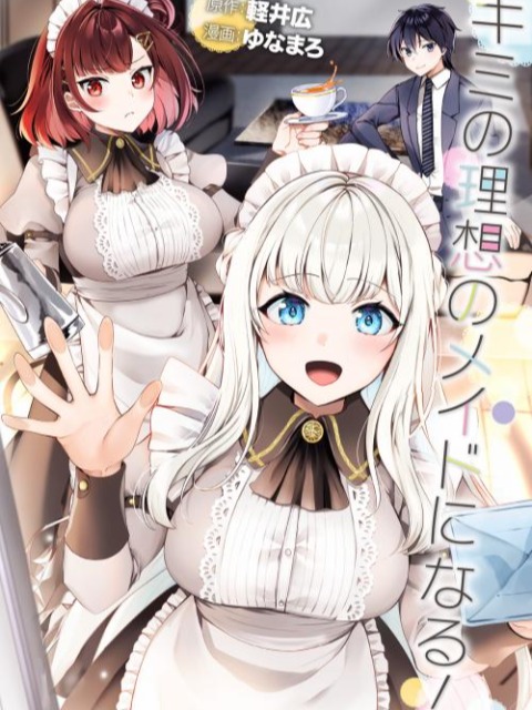 kimi-no-risou-no-maid-ni-naru