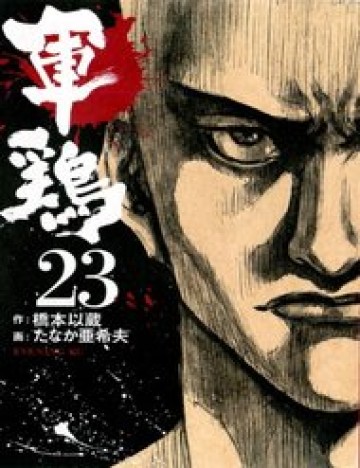 shamo