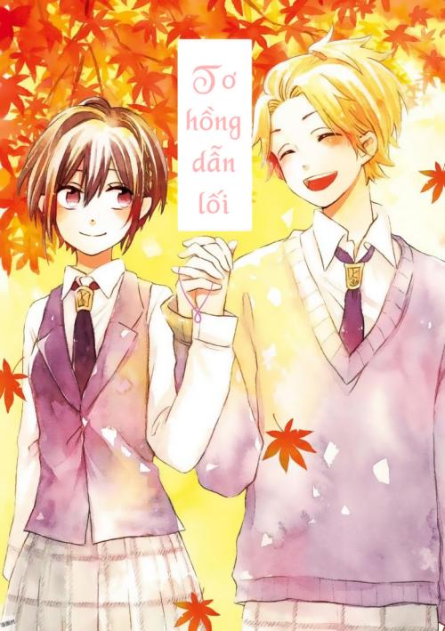 to-hong-dan-loi