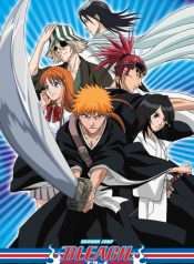 hoat-hinh-bleach-su-gia-than-chet-2004