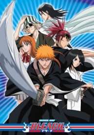 hoat-hinh-bleach-su-gia-than-chet-2004