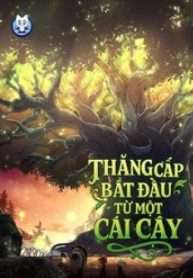 thang-cap-bat-dau-tu-mot-cai-cay