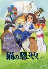loai-meo-tra-on-2002