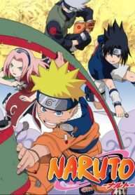 naruto-dattebayo-2002-220-tap