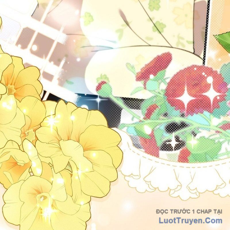 0 Tuổi Đã Là Ngôi Sao Hạng A Chapter 11 - Trang 2