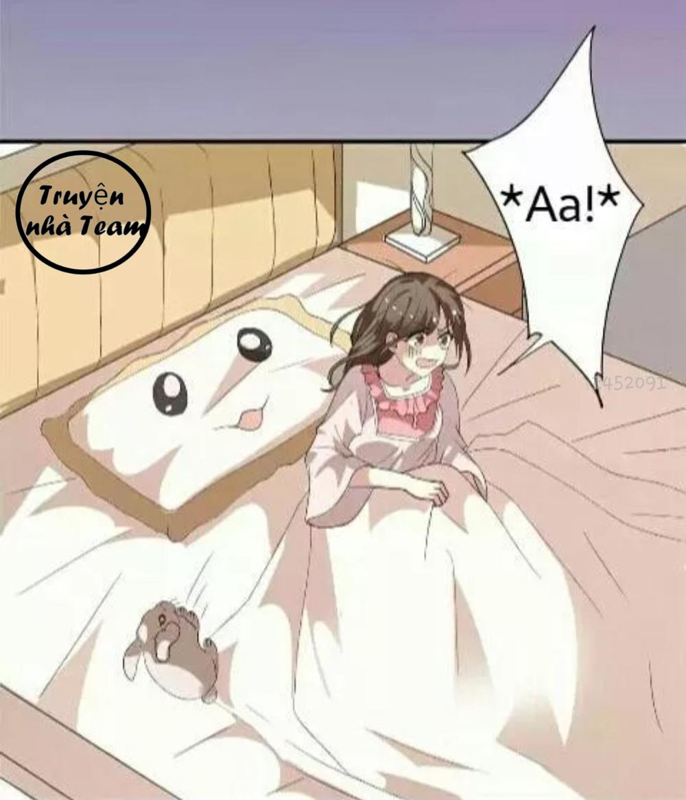 1 Nửa Hoàn Hảo Của Ceo Chapter 2 - Trang 2