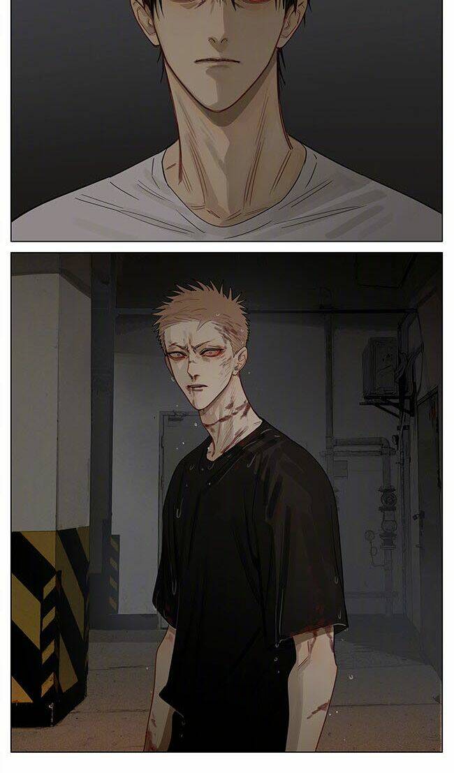 19 Days Chapter 484 - Trang 2