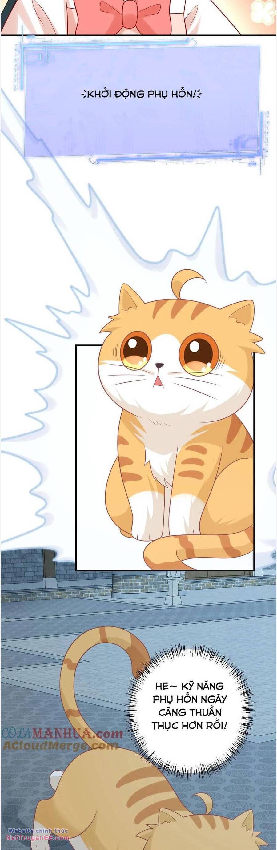 3 Kiếp Xui Xẻo, Kiếp Này Cùng Ta Thần Kinh Chapter 111 - Trang 2