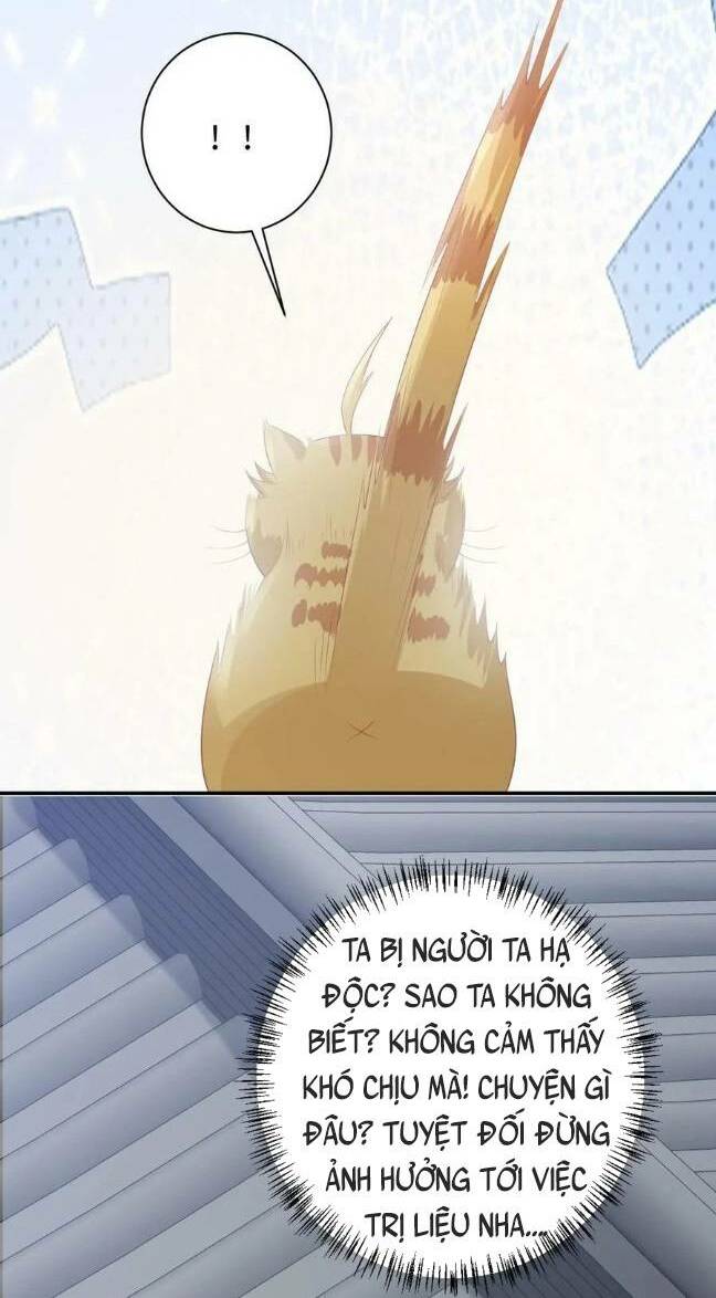 3 Kiếp Xui Xẻo, Kiếp Này Cùng Ta Thần Kinh Chapter 113 - Trang 2