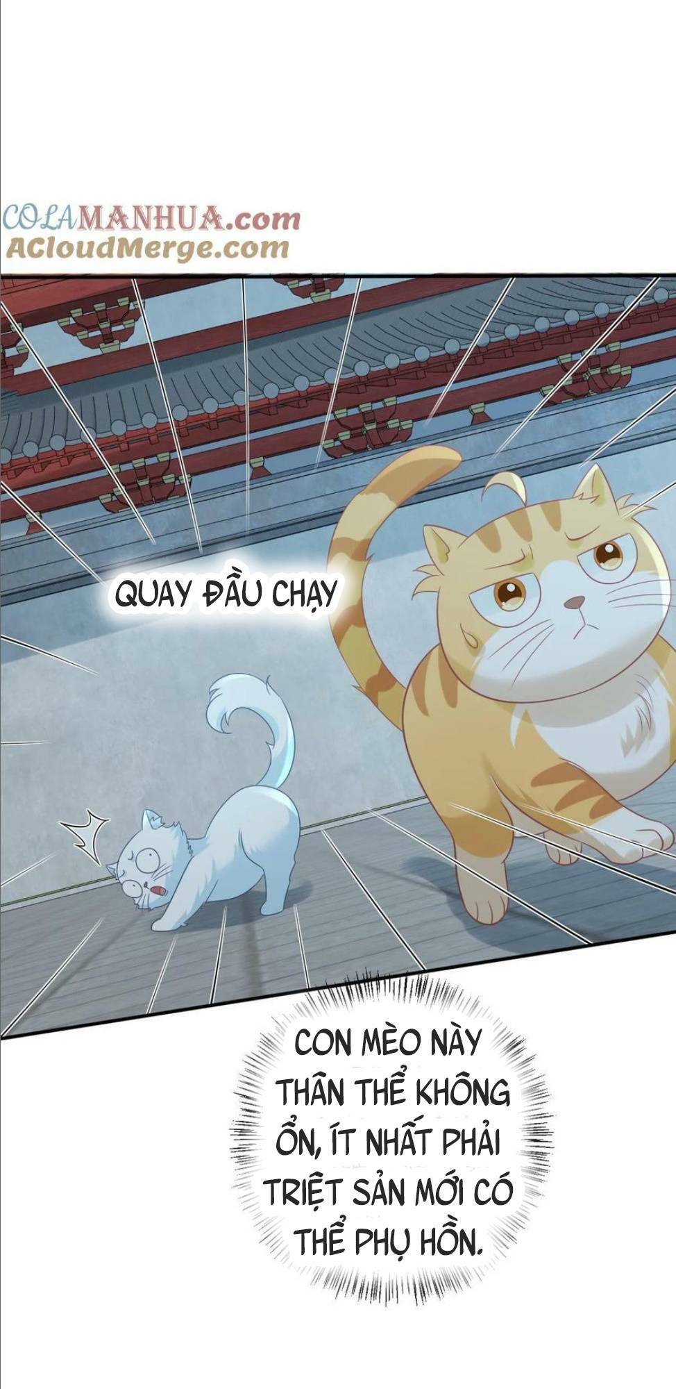 3 Kiếp Xui Xẻo, Kiếp Này Cùng Ta Thần Kinh Chapter 114 - Trang 2