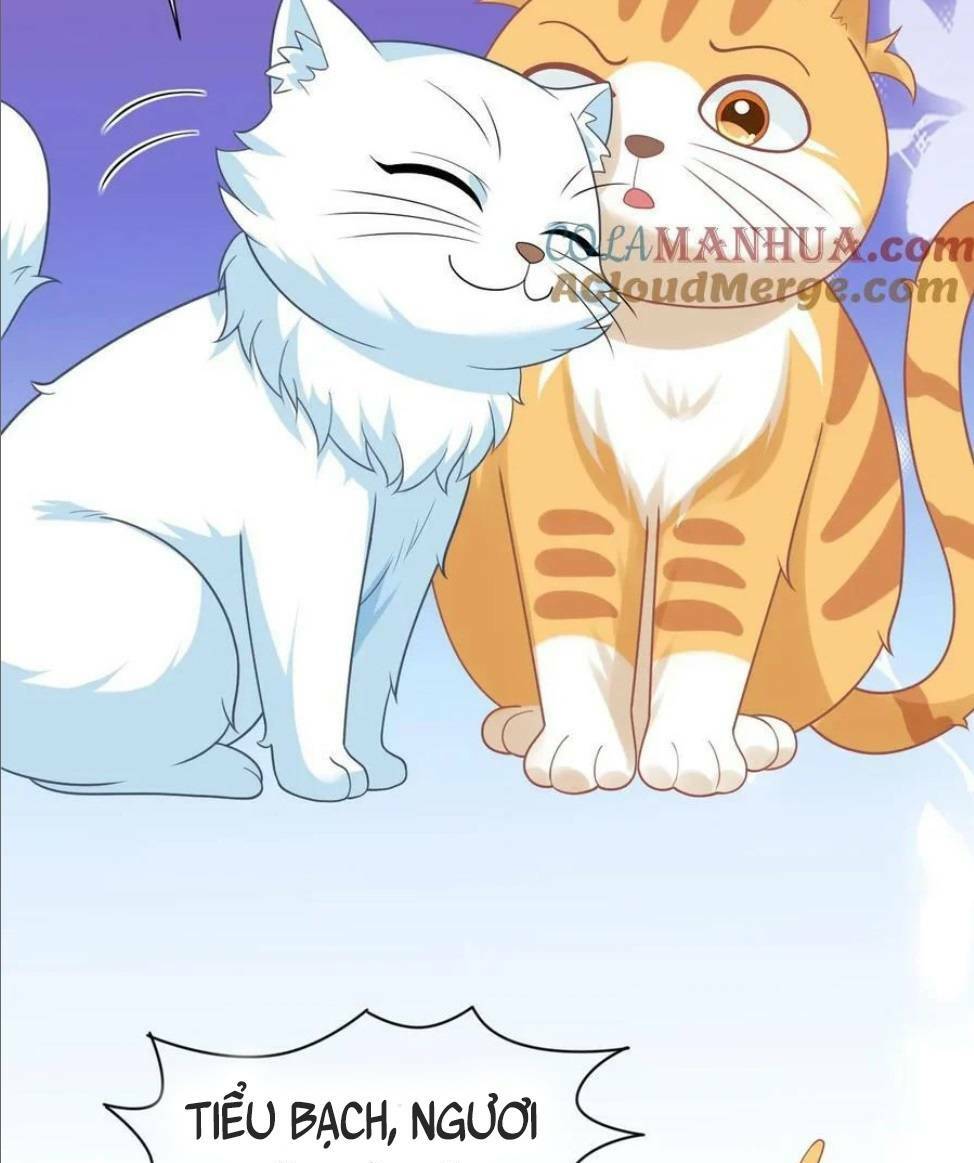 3 Kiếp Xui Xẻo, Kiếp Này Cùng Ta Thần Kinh Chapter 114 - Trang 2