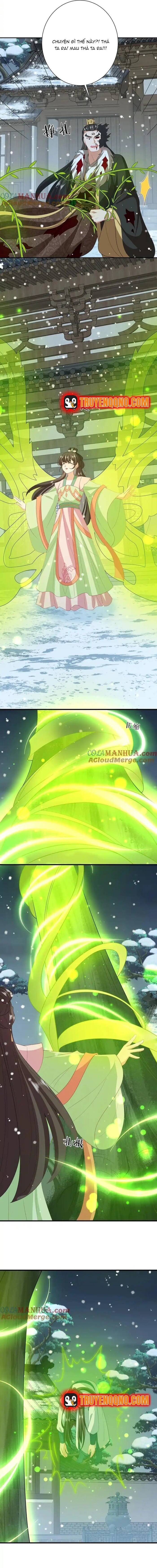 3 Kiếp Xui Xẻo, Kiếp Này Cùng Ta Thần Kinh Chapter 254 - Trang 2