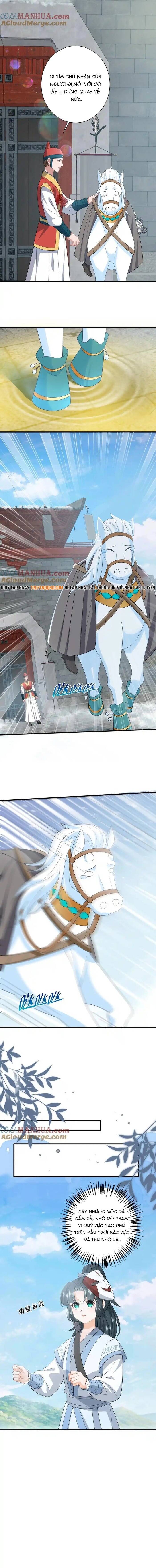 3 Kiếp Xui Xẻo, Kiếp Này Cùng Ta Thần Kinh Chapter 258 - Trang 2