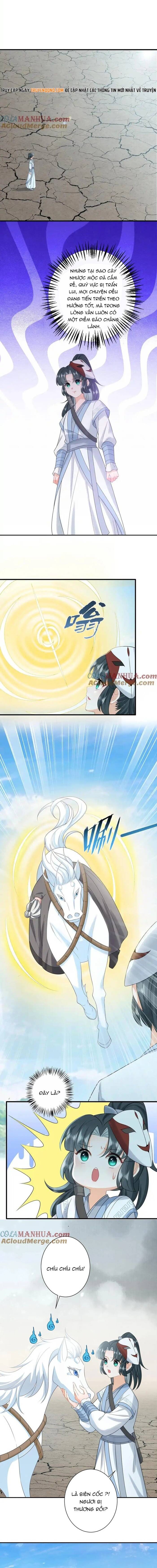 3 Kiếp Xui Xẻo, Kiếp Này Cùng Ta Thần Kinh Chapter 258 - Trang 2