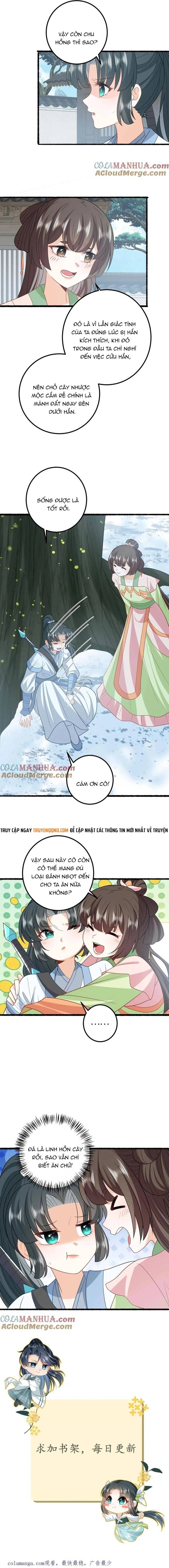 3 Kiếp Xui Xẻo, Kiếp Này Cùng Ta Thần Kinh Chapter 263 - Trang 2