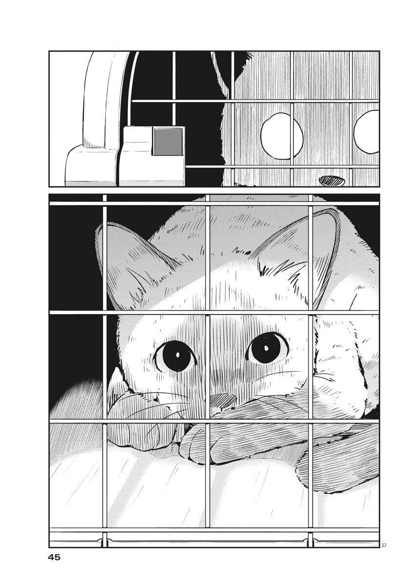 365 Ngày Cho Đến Lúc 2 Ta Kết Hôn Chapter 1 - Trang 2