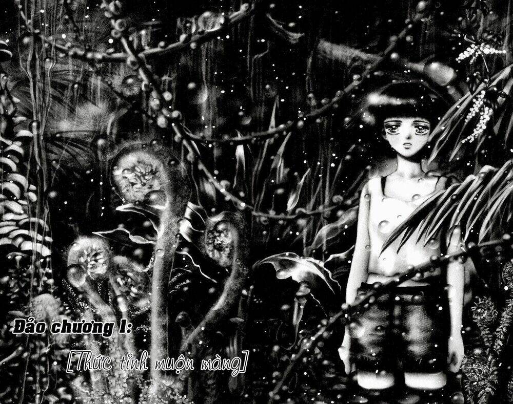 7 Mầm Sống Chapter 1 - Trang 2