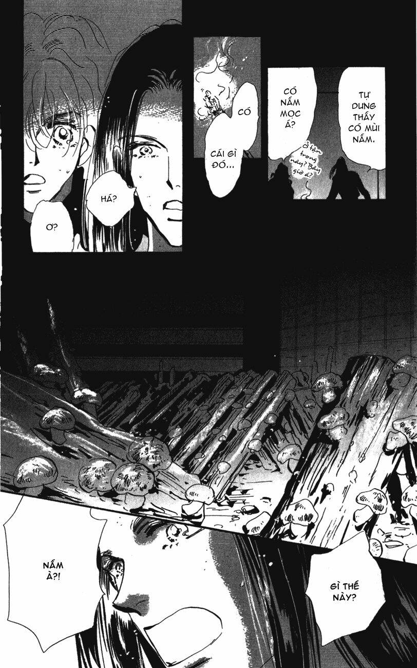 7 Mầm Sống Chapter 114 - Trang 2