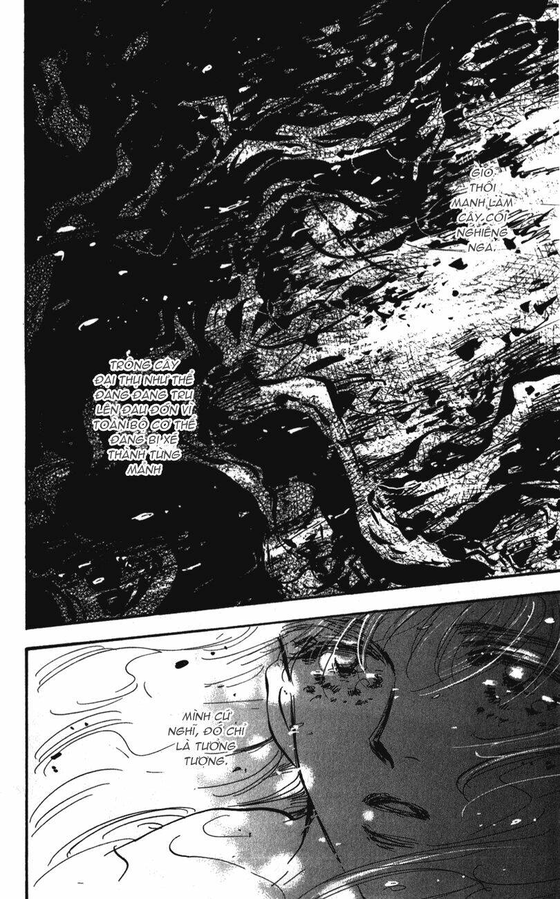 7 Mầm Sống Chapter 114 - Trang 2