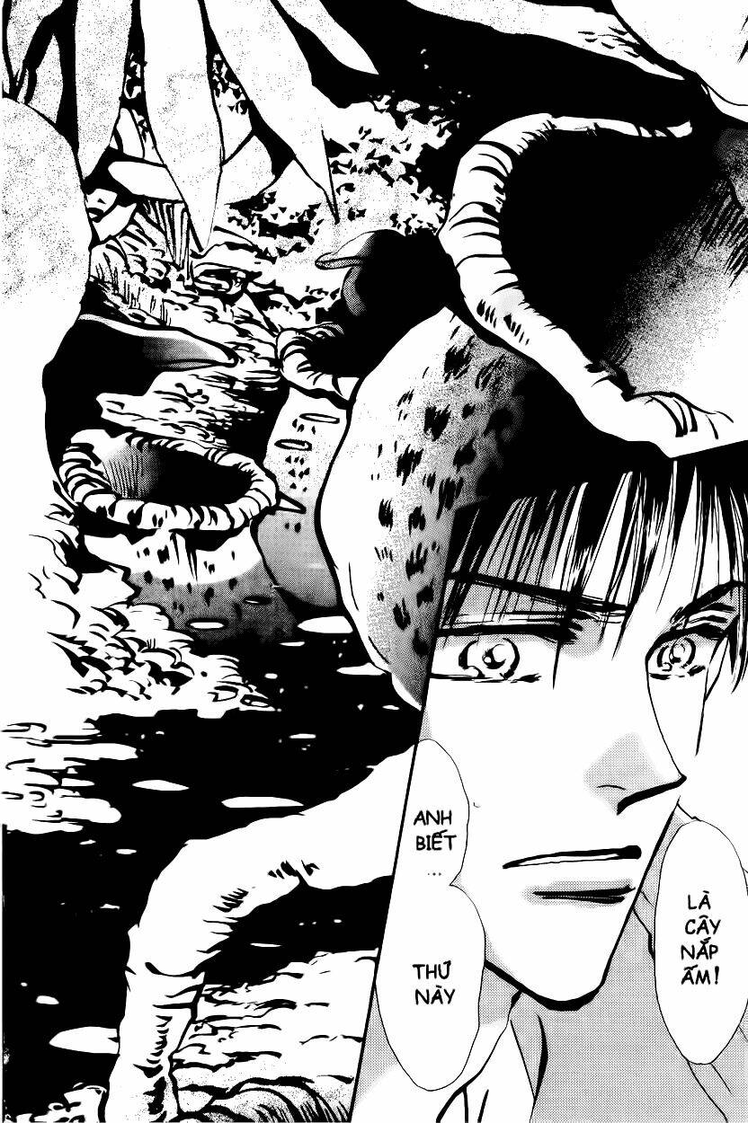 7 Mầm Sống Chapter 4 - Trang 2