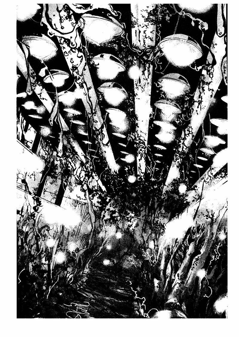 7 Mầm Sống Chapter 53 - Trang 2