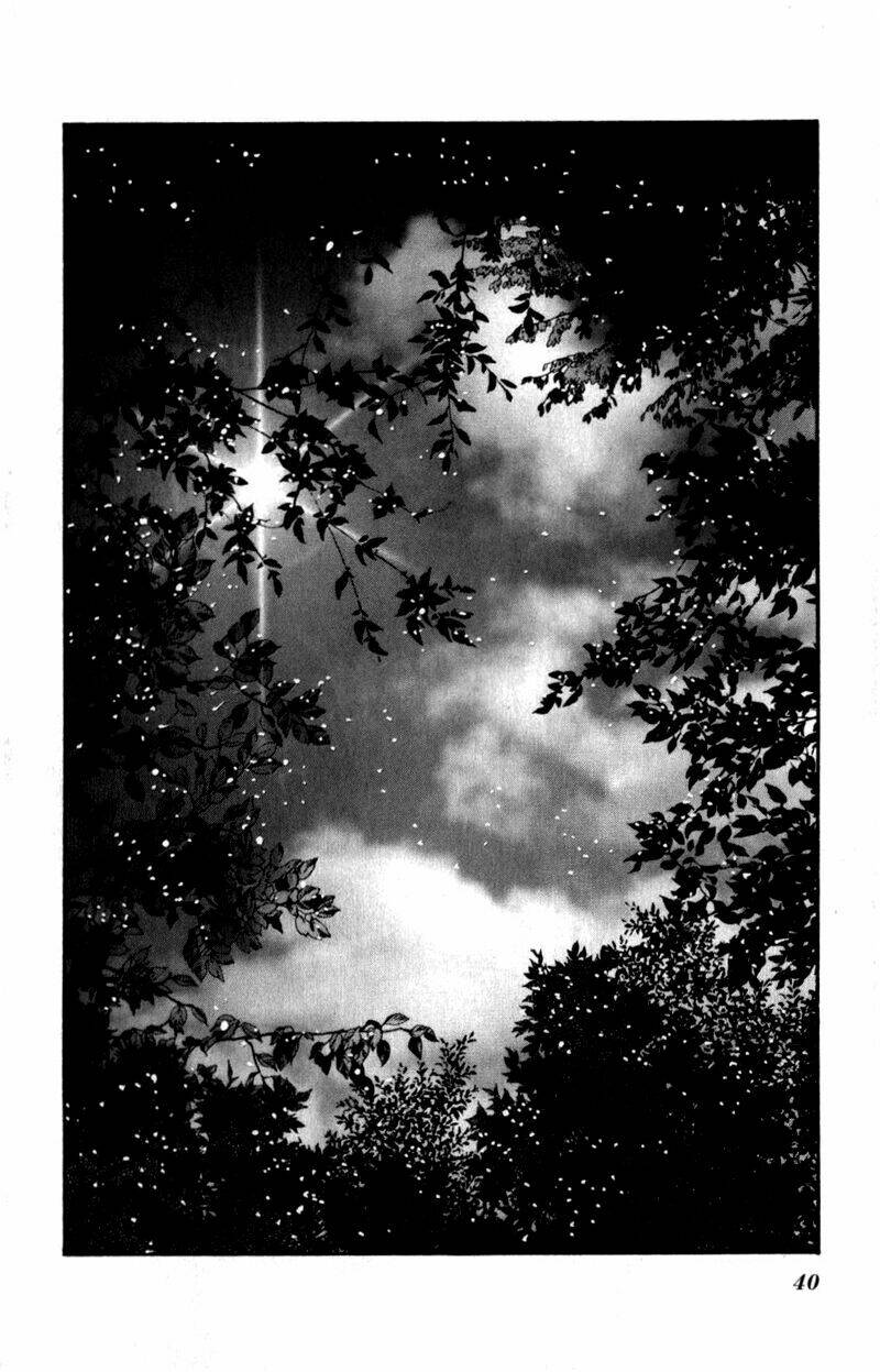 7 Mầm Sống Chapter 62 - Trang 2