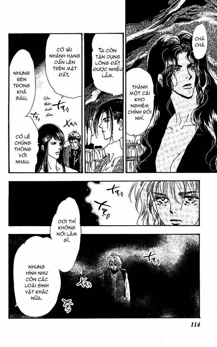 7 Mầm Sống Chapter 80 - Trang 2