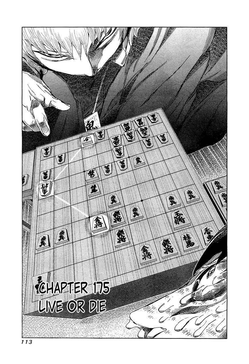 81 Diver Chapter 175 - Trang 2