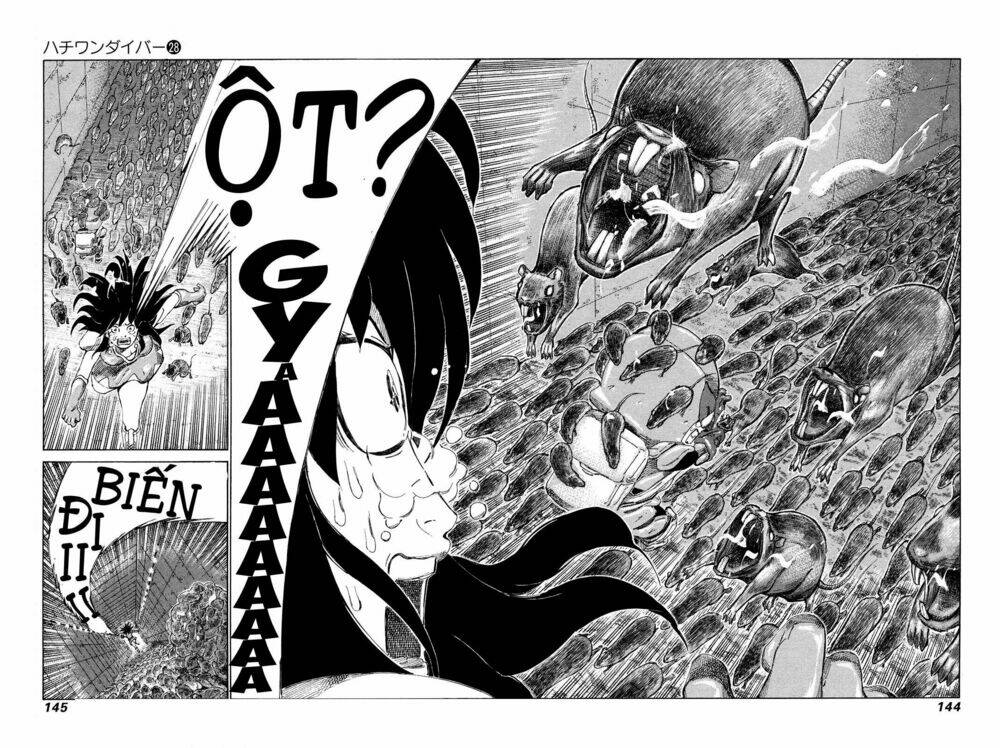 81 Diver Chapter 295 - Trang 2