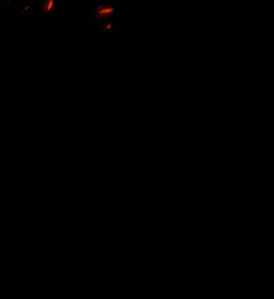 99 Thủ Lĩnh Chapter 3.5 - Trang 2