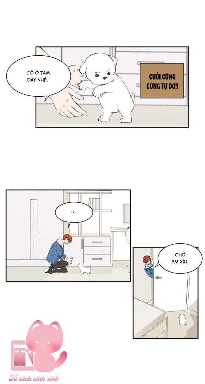 A Good Day To Be A Dog Chapter 11 - Trang 2